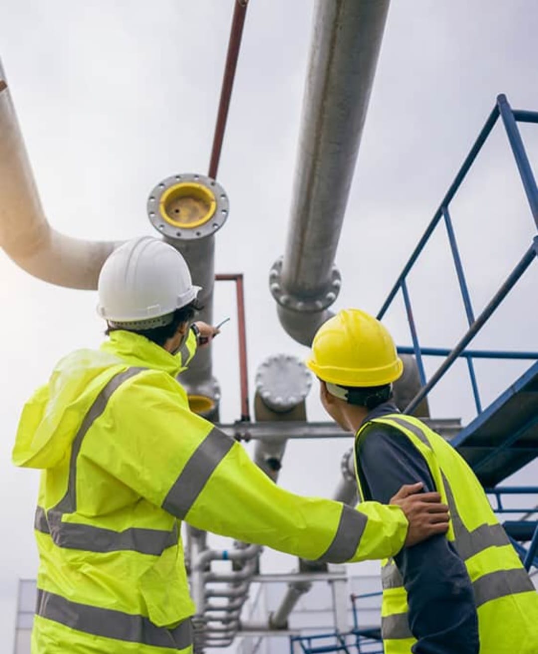 WhatsApp Image 2026-02-08 at 10.08.40 PM